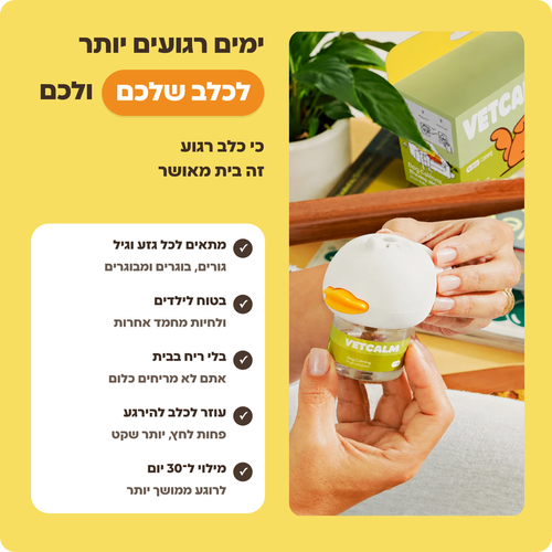 ימים רגועים יותר לכלב שלכם ולכם