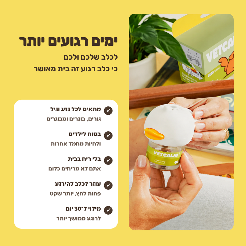ימים רגועים יותר לכלב שלכם ולכם