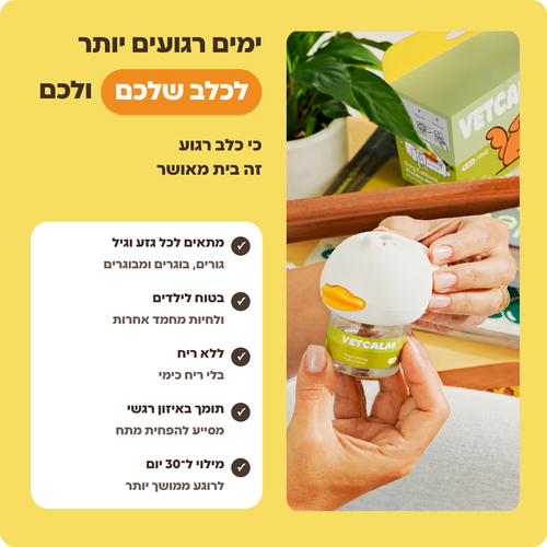 ימים רגועים יותר לכלב שלכם ולכם