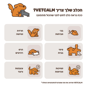 ככה נראה כלב לחוץ