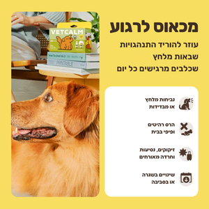 מכאוס לרגוע, פחות התנהגויות שבאות מלחץ