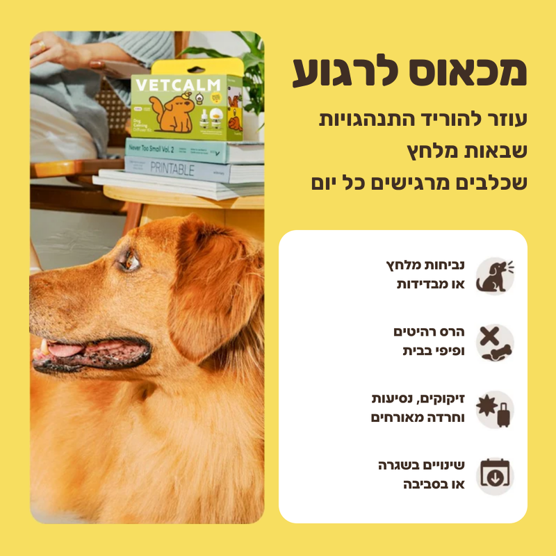 מכאוס לרגוע, פחות התנהגויות שבאות מלחץ