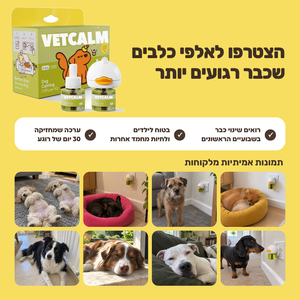 הצטרפו לאלפי כלבים שכבר רגועים יותר