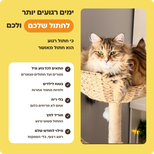 VETCALM לחתולים — יתרונות הערכה