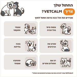 סימני לחץ אצל חתולים