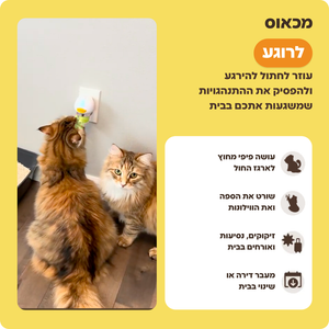 התנהגויות לחץ שהדיפיוזר עוזר להרגיע