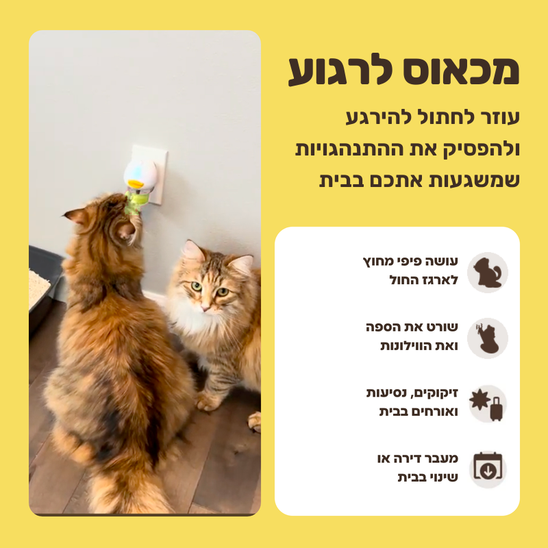 התנהגויות לחץ שהדיפיוזר עוזר להרגיע