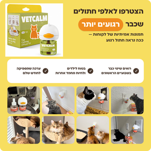תמונות אמיתיות של לקוחות — חתול רגוע